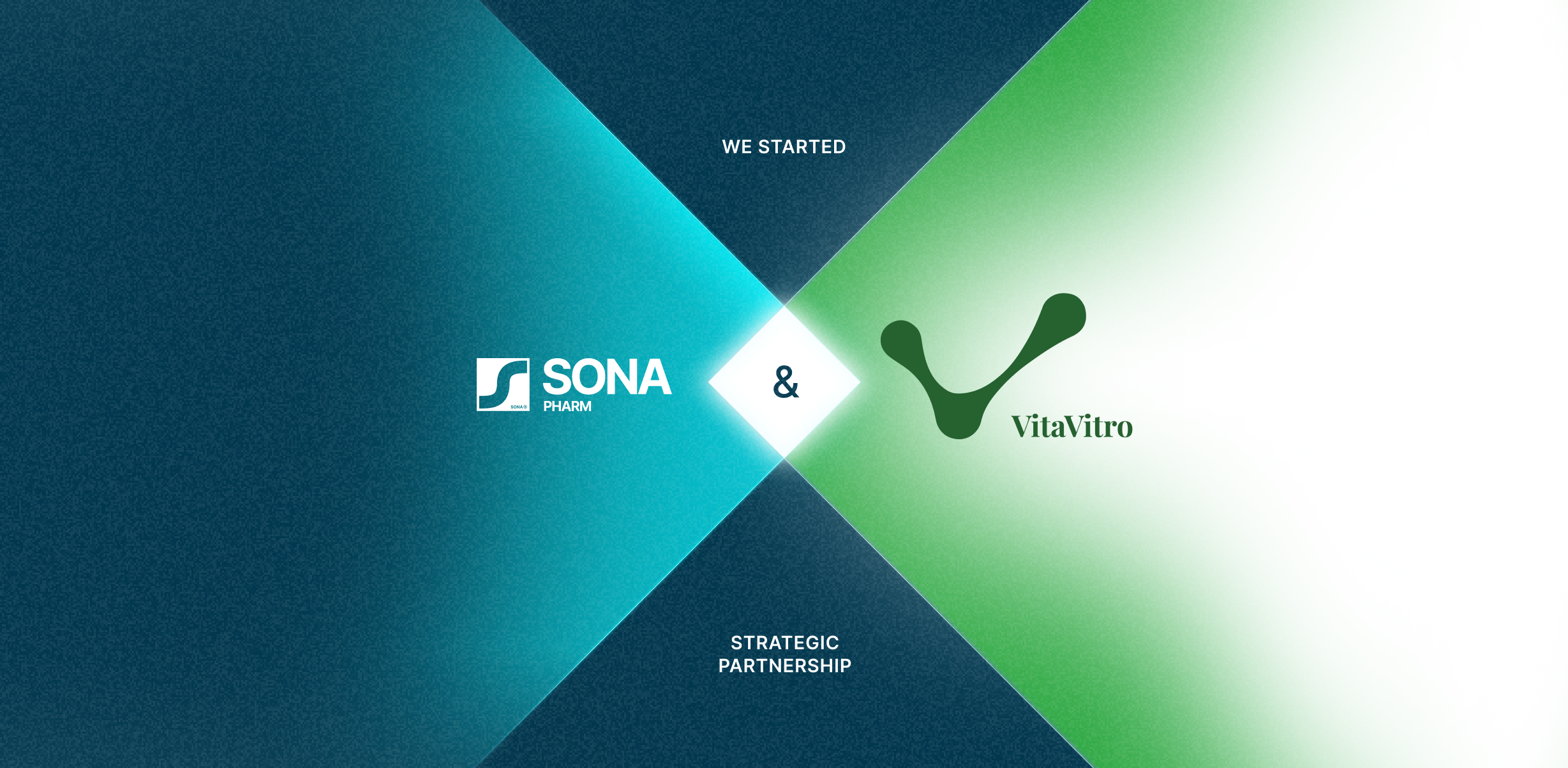 Sona Group Announces New Partnership with VitaVitro